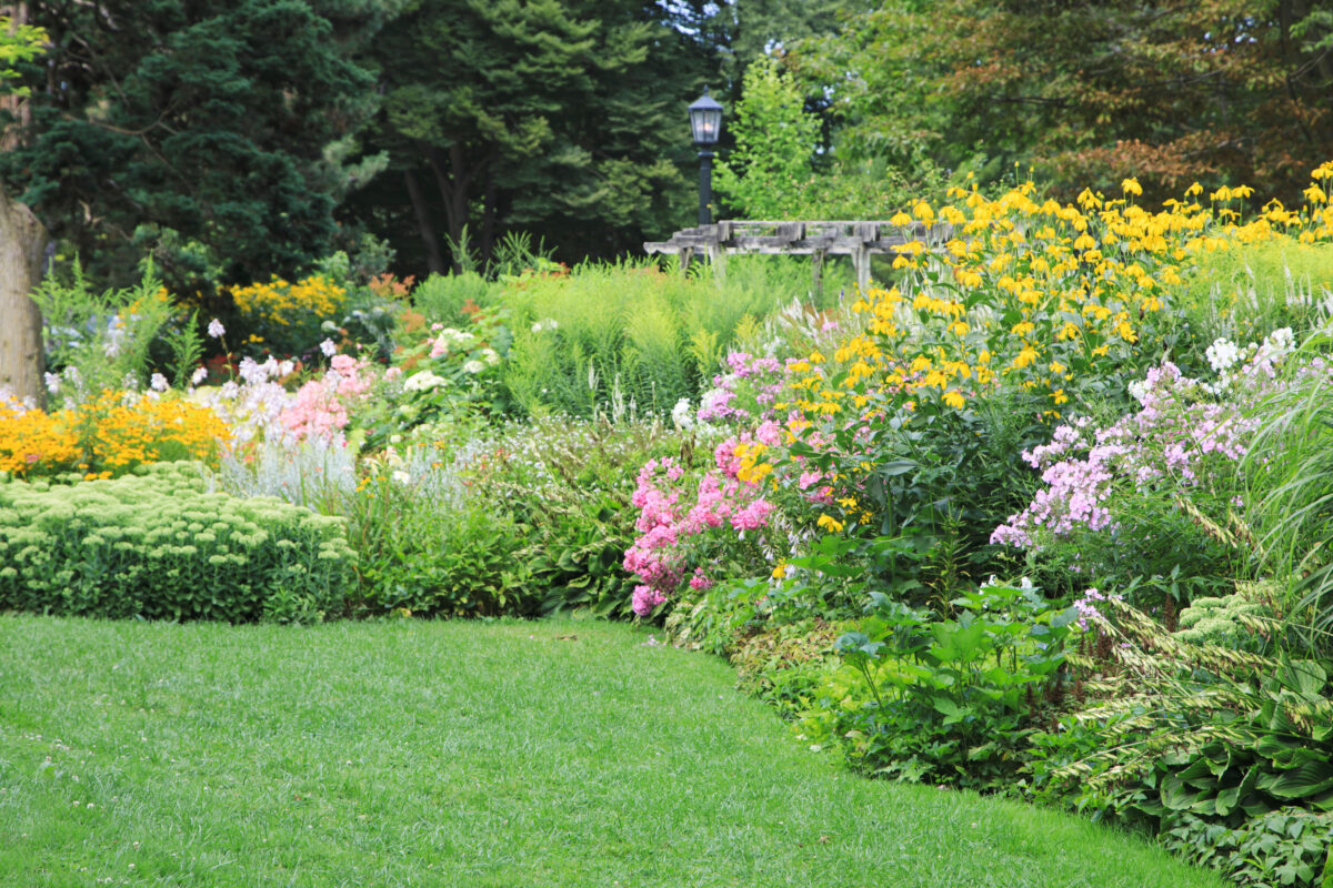 Tips to Create the Perfect Landscaped Garden – Balancing Aesthetics and Functionality