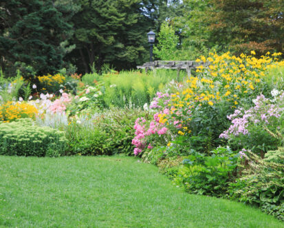 Tips to Create the Perfect Landscaped Garden – Balancing Aesthetics and Functionality