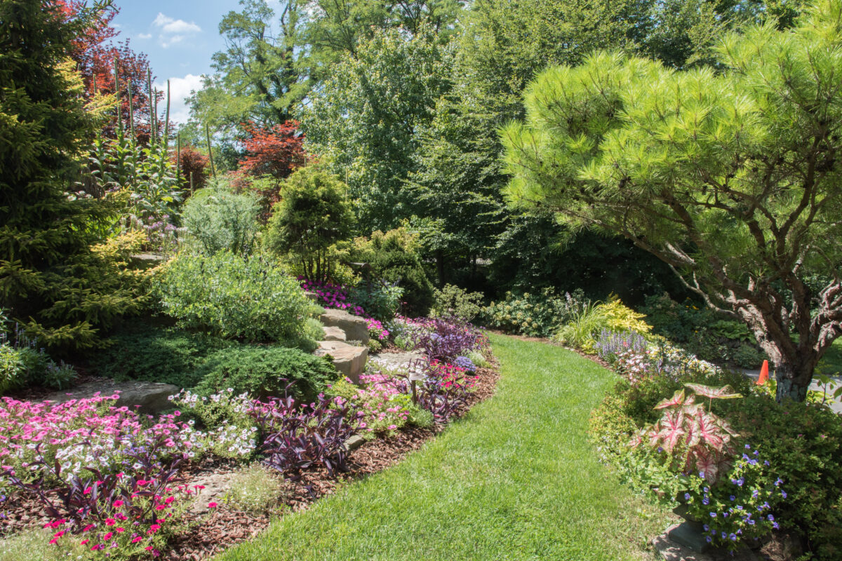 Is Your New Jersey Garden Clean Enough?