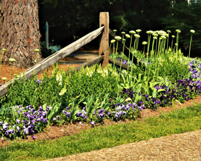 Importance of Mulching Your Home Garden