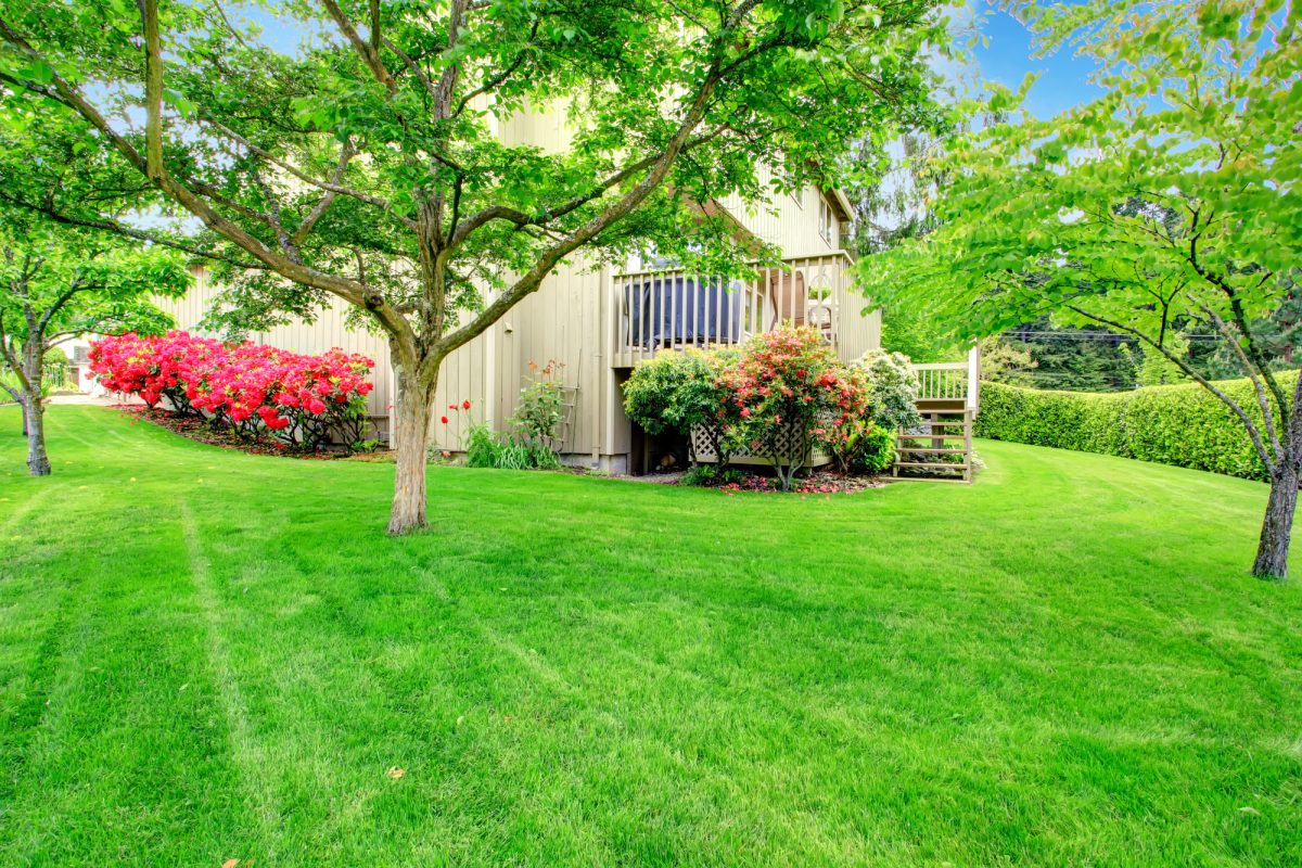 5 Backyard Summer Landscaping Ideas for Outdoor Fun in NJ