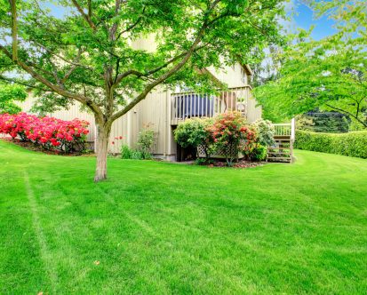 5 Backyard Summer Landscaping Ideas for Outdoor Fun in NJ