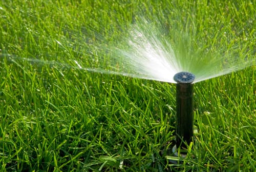 What Types of Grass Grow Best In New Jersey? - NJ Best Lawns, Sprinklers &  Fencing New Jersey
