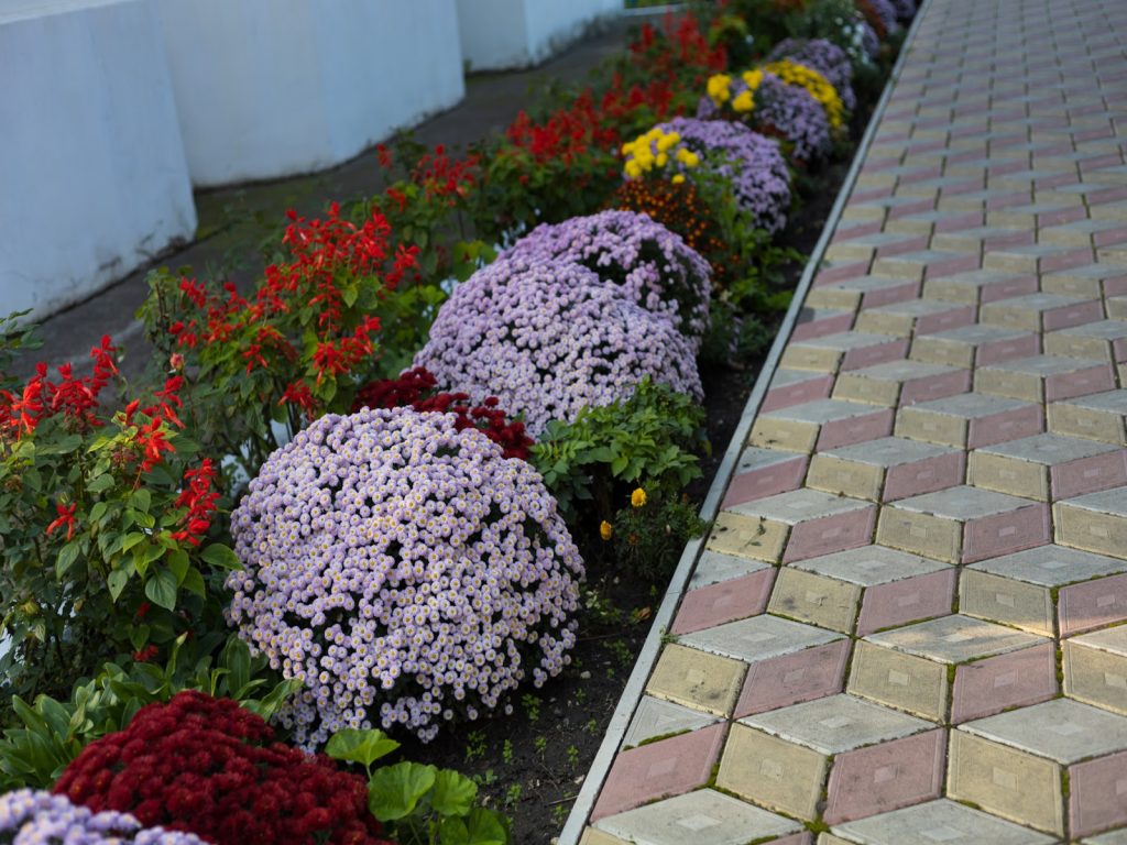Best Summer Flowers For Your Commercial Property - Chris James Landscaping