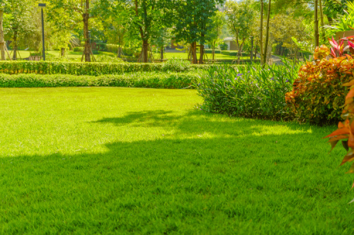 Why You Should Have Landscaping Management Services For Large Properties
