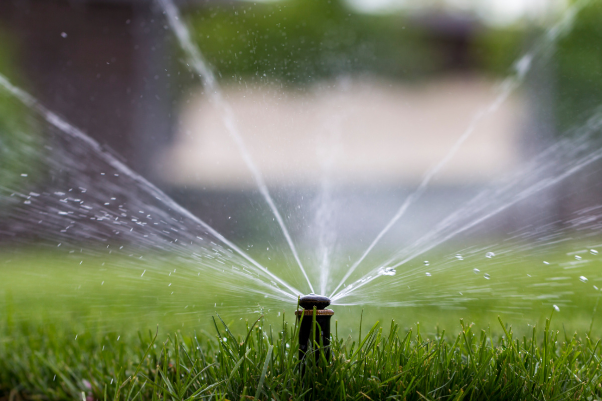 Everything You Need To Know About Lawn & Garden Irrigation